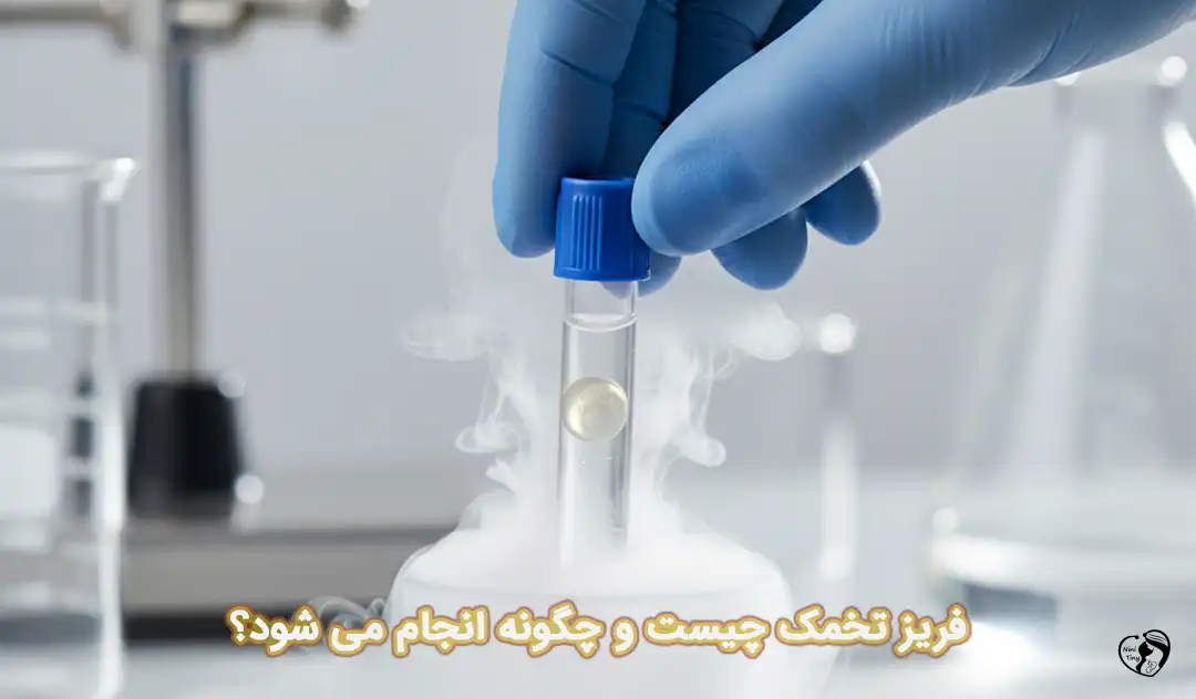 فریز تخمک فریز تخمک