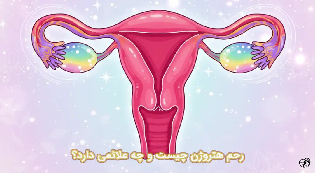 رحم هتروژن رحم هتروژن