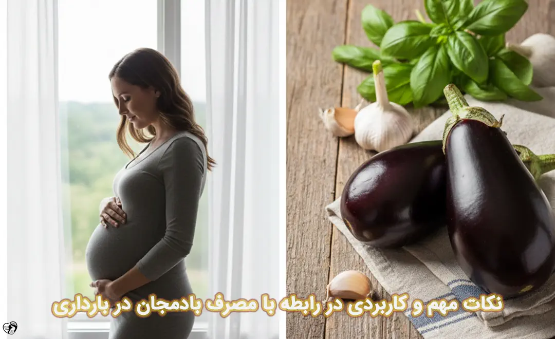 بادمجان در بارداری بادمجان در بارداری