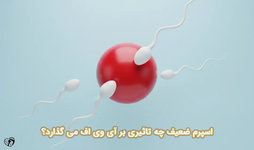 آی وی اف با اسپرم ضعیف