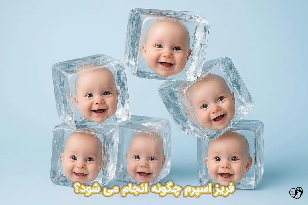 فریز اسپرم فریز اسپرم