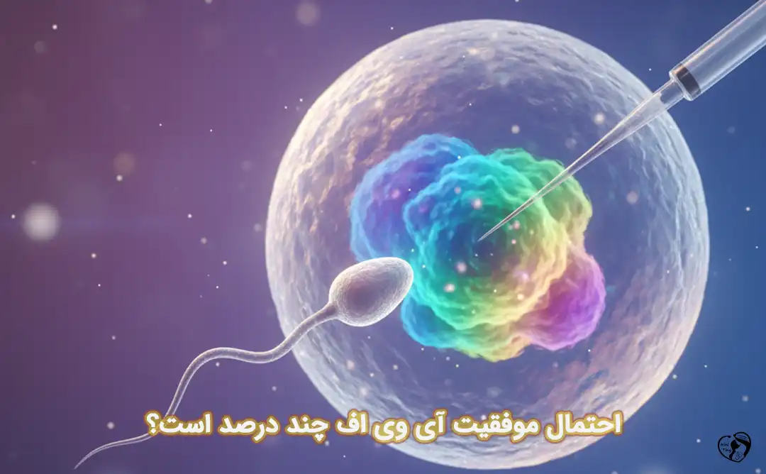 درصد موفقیت آی وی اف درصد موفقیت آی وی اف