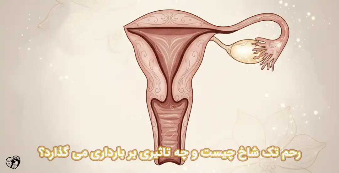 رحم تک شاخ رحم تک شاخ