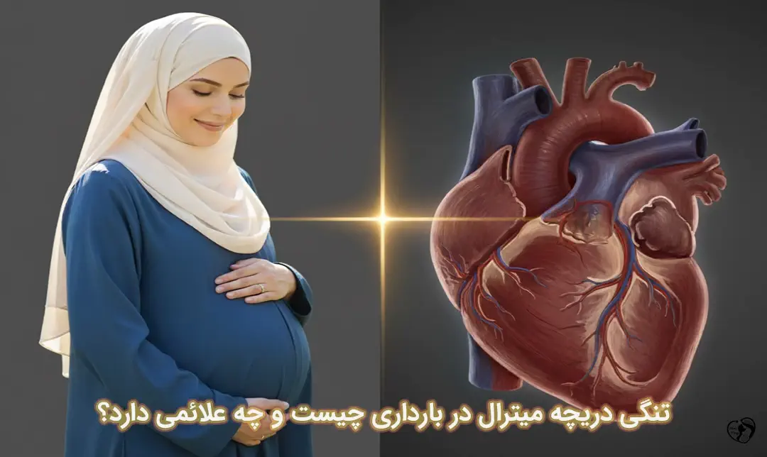تنگی دریچه میترال در بارداری تنگی دریچه میترال در بارداری