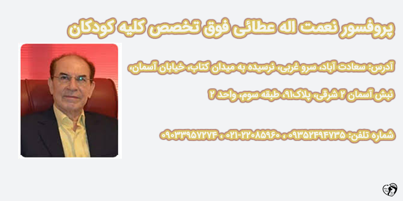 دکتر نعمت اله عطائی پروفسور نعمت اله عطائی