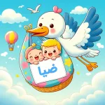 ضیا