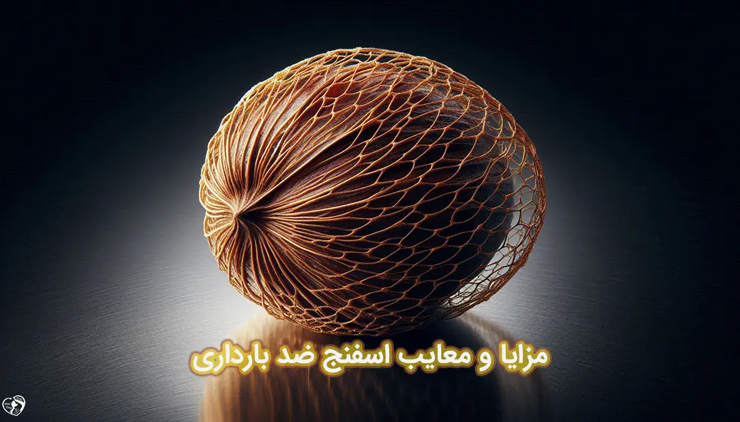 اسفنج ضد بارداری