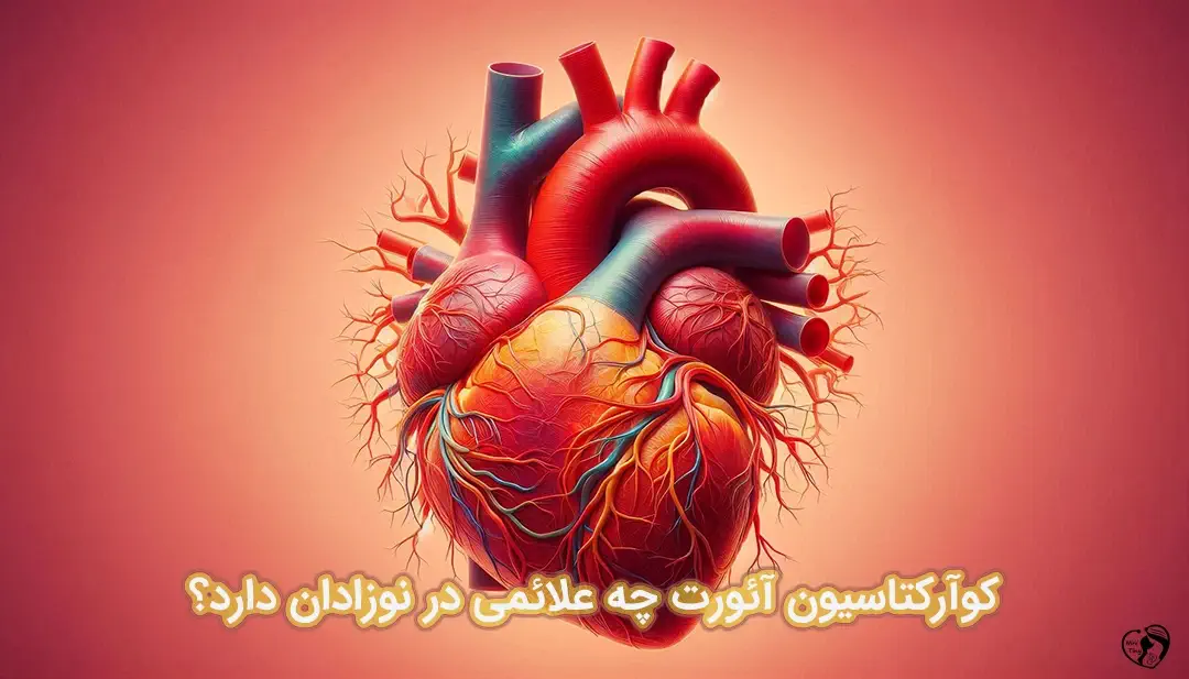 کوآرکتاسیون آئورت