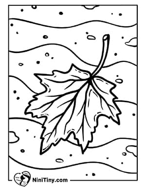 رنگ آمیزی برگ های پاییزی