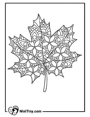 رنگ آمیزی برگ های پاییزی