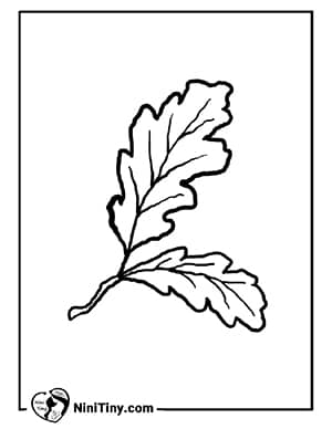 رنگ آمیزی برگ های پاییزی