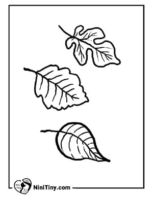 رنگ آمیزی برگ های پاییزی