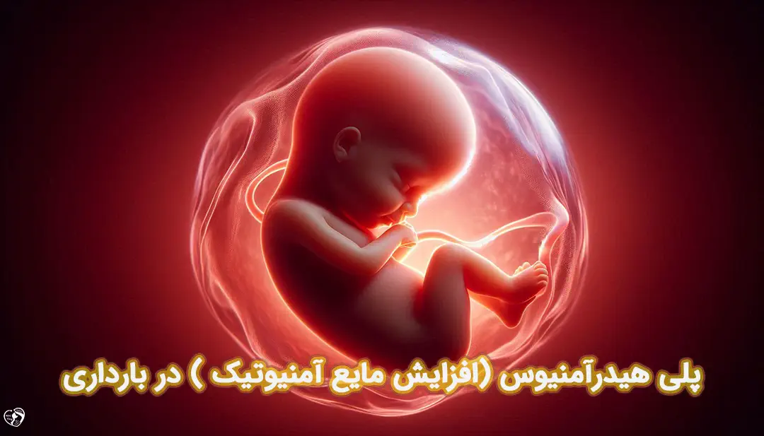 پلی هیدرآمنیوس