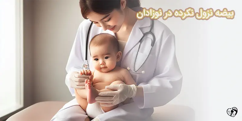 Undescended Testicles بیضه نزول نکرده در نوزادان