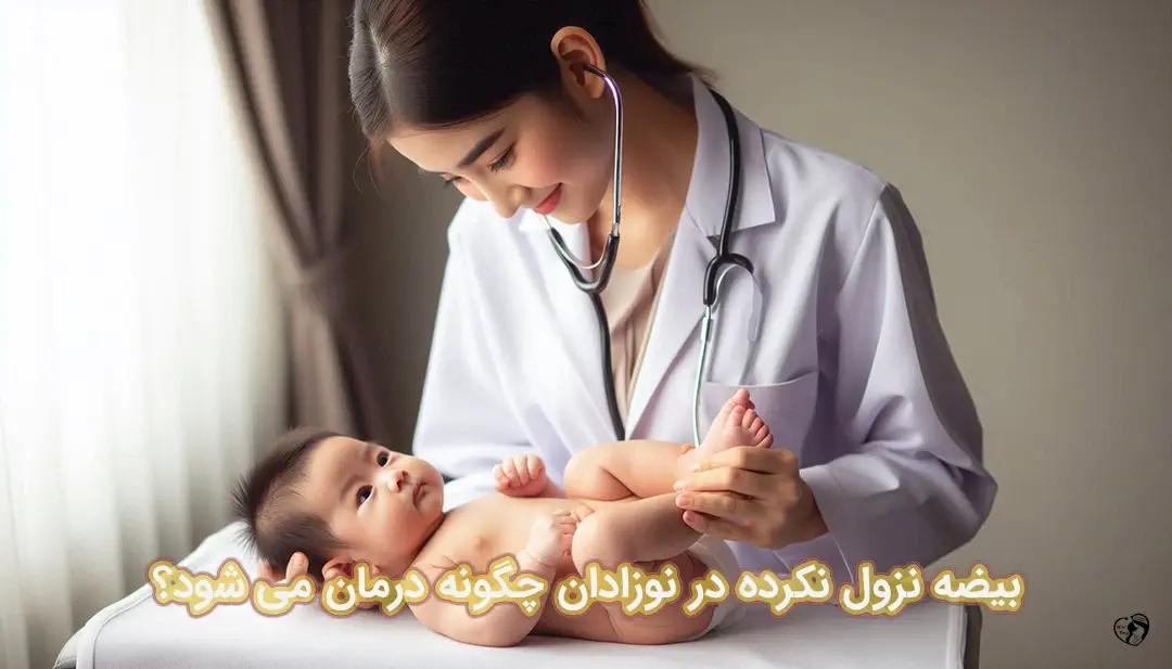 بیضه نزول نکرده در نوزادان بیضه نزول نکرده در نوزادان