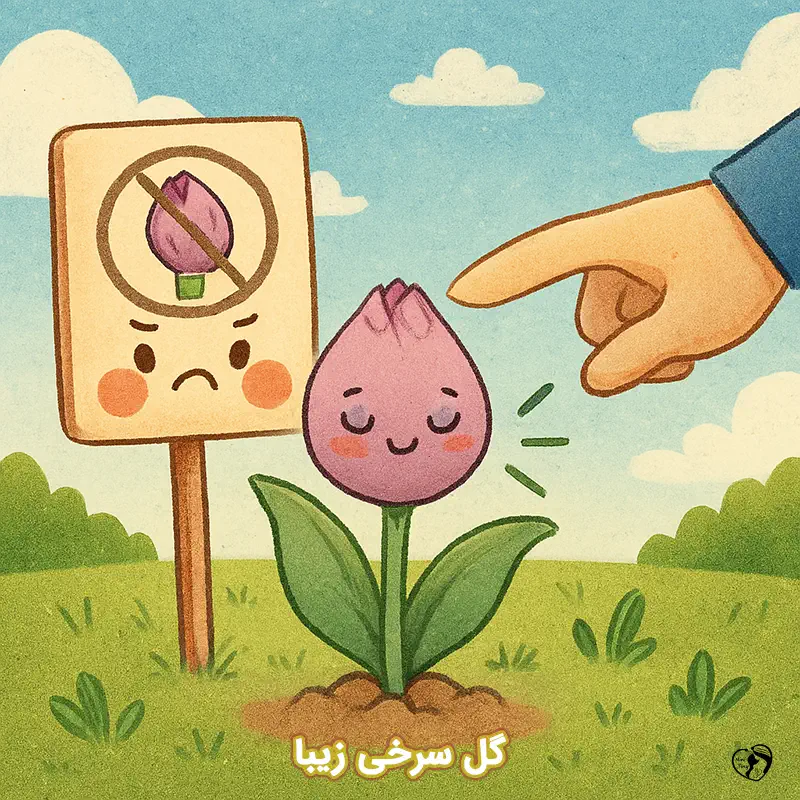 gol sorkhi ziba gol sorkhi ziba