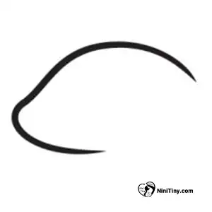 آموزش نقاشی مارمولک بامزه مرحله اول compressed آموزش نقاشی مارمولک بامزه مرحله اول compressed