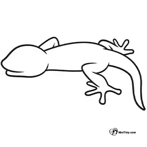 آموزش نقاشی مارمولک بامزه مرحله هفتم compressed آموزش نقاشی مارمولک بامزه مرحله هفتم compressed