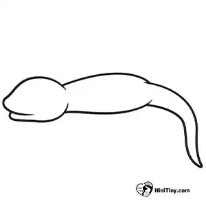 آموزش نقاشی مارمولک بامزه مرحله چهارم compressed آموزش نقاشی مارمولک بامزه مرحله چهارم compressed