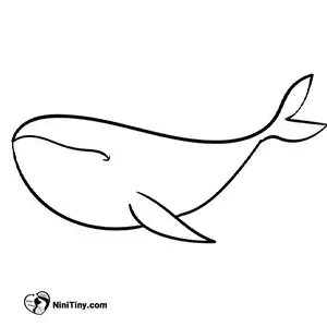 آموزش نقاشی نهنگ بامزه مرحله سوم compressed آموزش نقاشی نهنگ بامزه مرحله سوم compressed