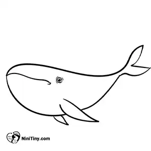 آموزش نقاشی نهنگ بامزه مرحله چهارم compressed آموزش نقاشی نهنگ بامزه مرحله چهارم compressed