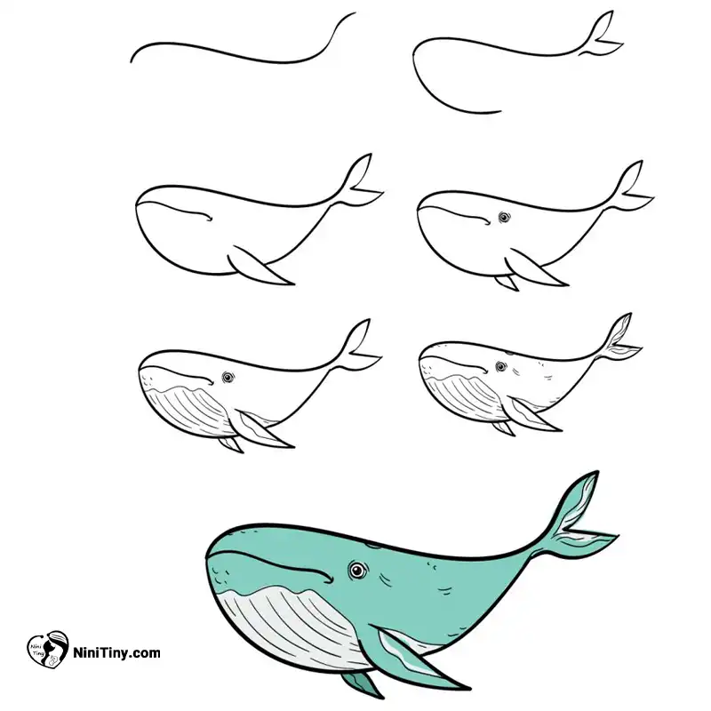 آموزش نقاشی نهنگ بامزههه compressed آموزش نقاشی نهنگ بامزههه compressed