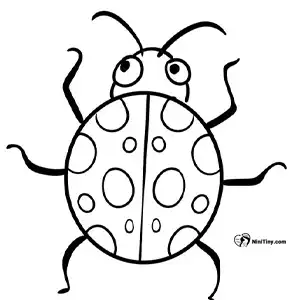 آموزش نقاشی کفش دوزک برای کودکان مرحله هفتم compressed آموزش نقاشی کفش دوزک برای کودکان مرحله هفتم compressed