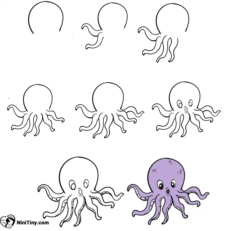 تصویر اول اختاپوس compressed تصویر اول اختاپوس compressed