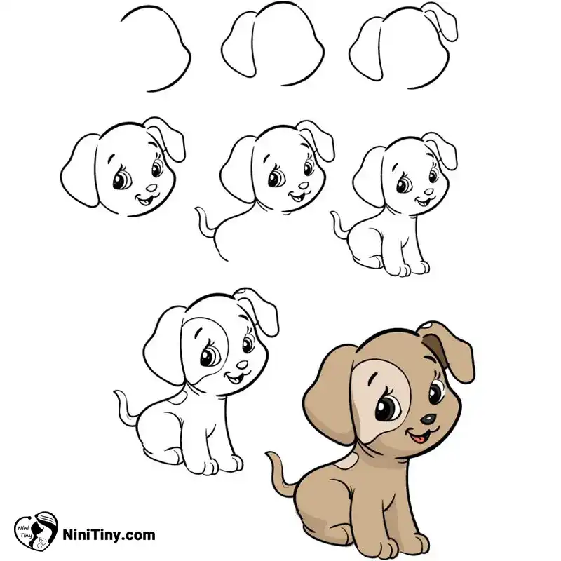 تصویر اول سگ بامزه compressed تصویر اول سگ بامزه compressed