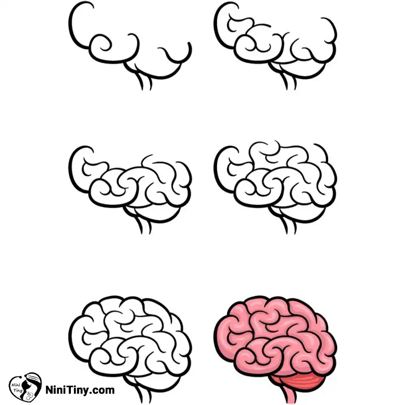 تصویر اول مغزز compressed تصویر اول مغزز compressed