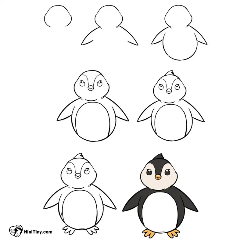 تصویر اول پنگون compressed تصویر اول پنگون compressed