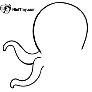 مرحله دوم اختاپوس compressed مرحله دوم اختاپوس compressed