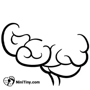 مرحله دوم مغز کارتونی compressed مرحله دوم مغز کارتونی compressed