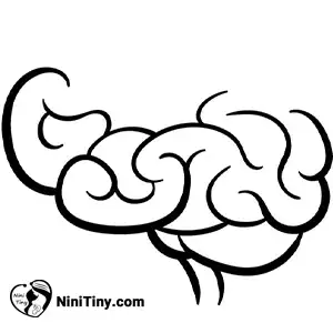 مرحله سوم مغز کارتونی compressed مرحله سوم مغز کارتونی compressed