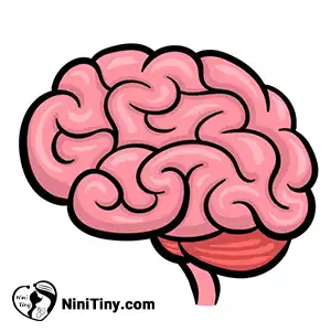 مرحله ششم دمغز کارتونی compressed مرحله ششم دمغز کارتونی compressed