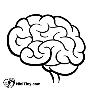 مرحله پنجم مغز کارتونی compressed مرحله پنجم مغز کارتونی compressed