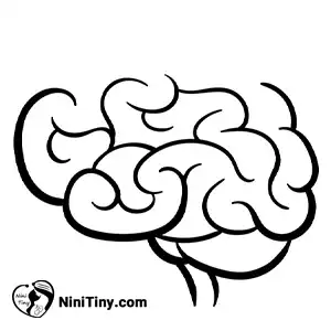 مرحله چهارم مغز کارتونی compressed مرحله چهارم مغز کارتونی compressed