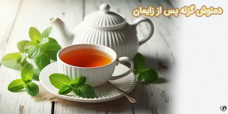 دمنوش گزنه پس از زایمان
