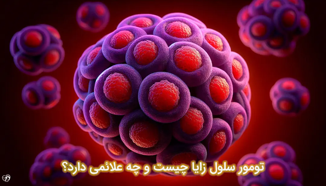 تومور سلول زایا