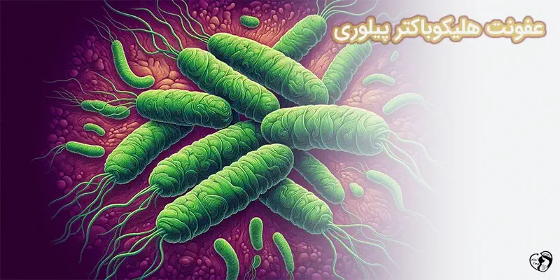 H. Pylori Infection عفونت هلیکوباکتر پیلوری