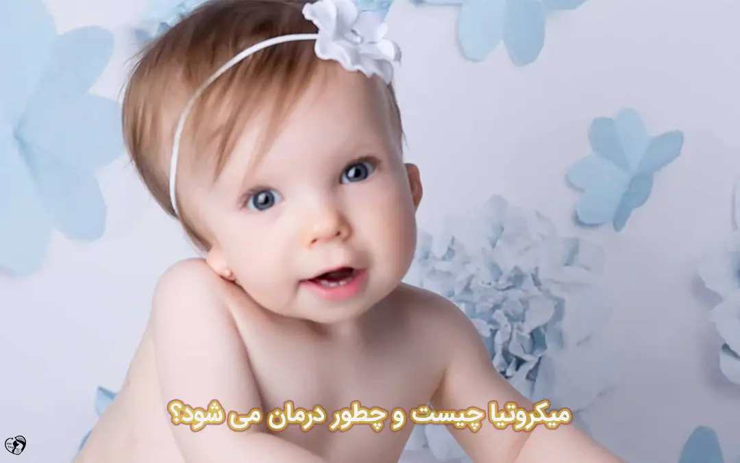 میکروتیا میکروتیا