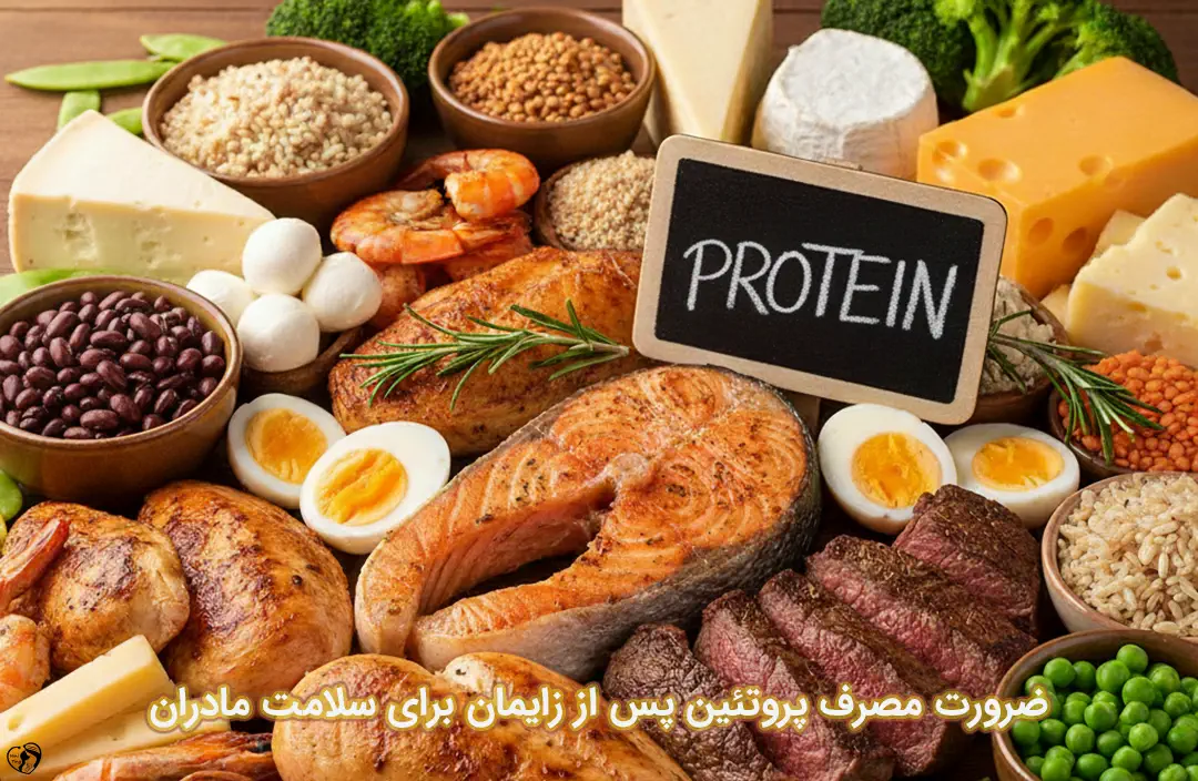 پروتئین پس از زایمان