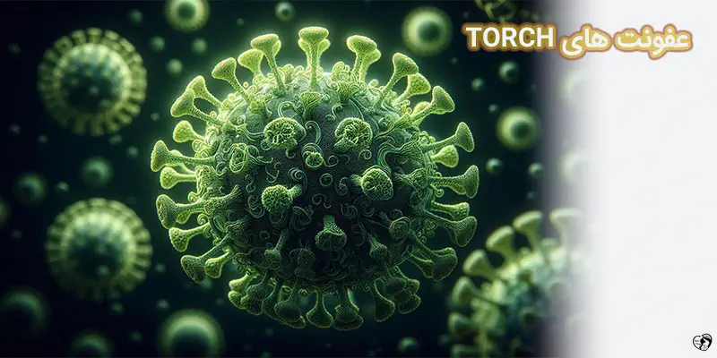 عفونت های TORCH