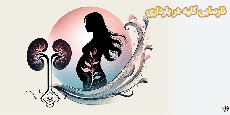 What to Know about Kidney Failure in Pregnancy نارسایی کلیه در بارداری