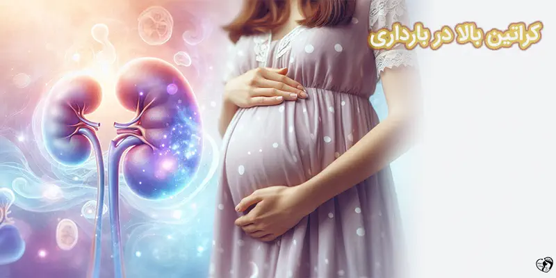 creatinine levels in pregnancy کراتین بالا در بارداری