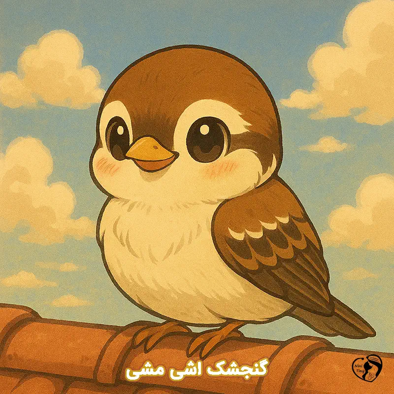 gonjeshk ashi mashi gonjeshk ashi mashi