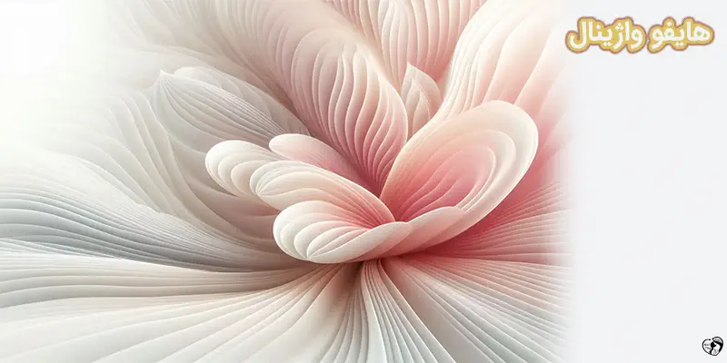 vaginal Hifu هایفو واژینال