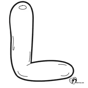 آموزش نقاشی حرف حبابی L مرحله پنجم compressed آموزش نقاشی حرف حبابی L مرحله پنجم compressed