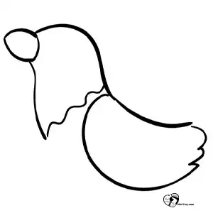 آموزش نقاشی مرغ کارتونی مرحله سوم compressed آموزش نقاشی مرغ کارتونی مرحله سوم compressed