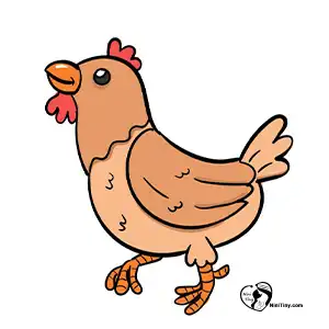 آموزش نقاشی مرغ کارتونی مرحله هشتم compressed آموزش نقاشی مرغ کارتونی مرحله هشتم compressed